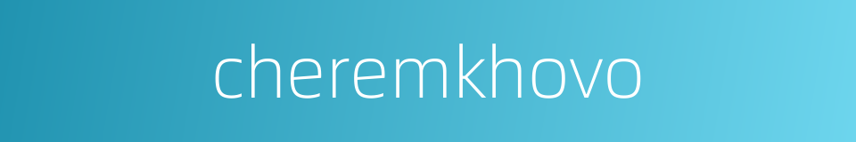 cheremkhovo的同义词