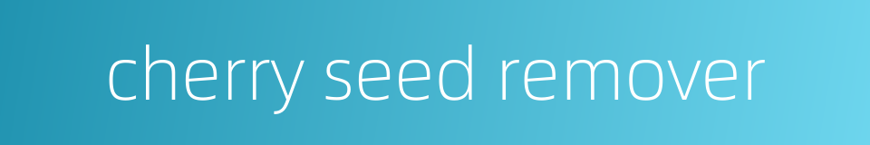 cherry seed remover的同义词