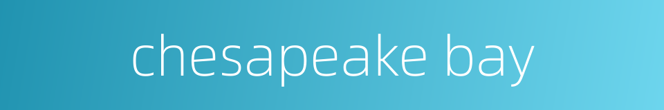 chesapeake bay的同义词