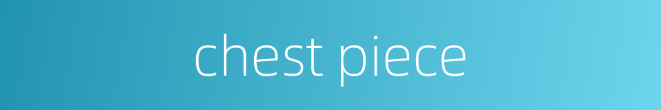 chest piece的同义词