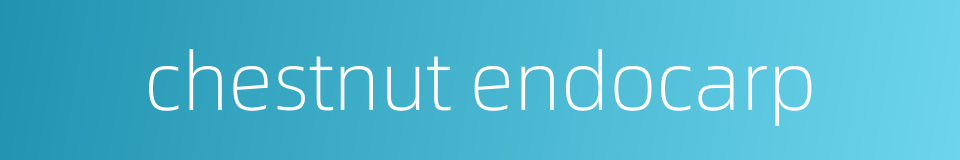 chestnut endocarp的同义词