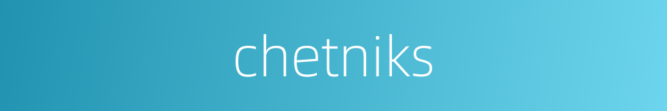 chetniks的同义词