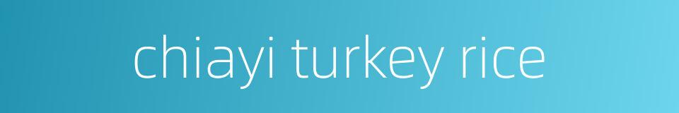 chiayi turkey rice的同义词