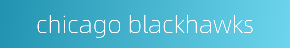 chicago blackhawks的同义词