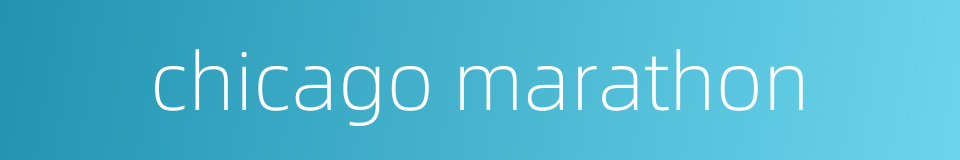 chicago marathon的同义词