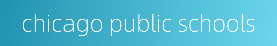 chicago public schools的同义词