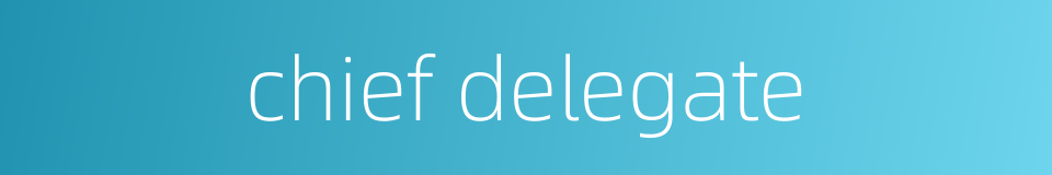 chief delegate的同义词