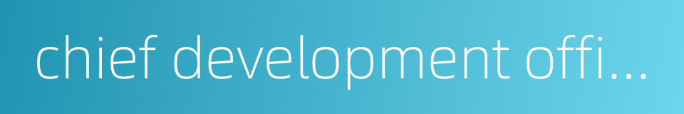 chief development officer的同义词