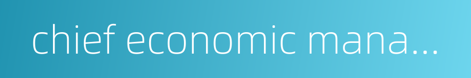 chief economic manager的同义词