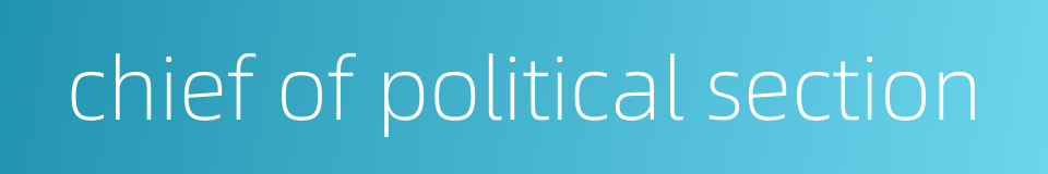 chief of political section的同义词