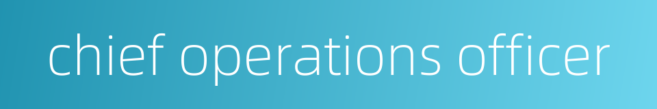 chief operations officer的同义词