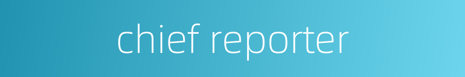 chief reporter的同义词