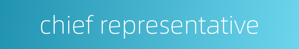 chief representative的同义词