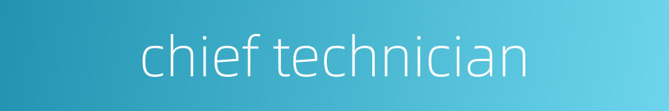 chief technician的同义词