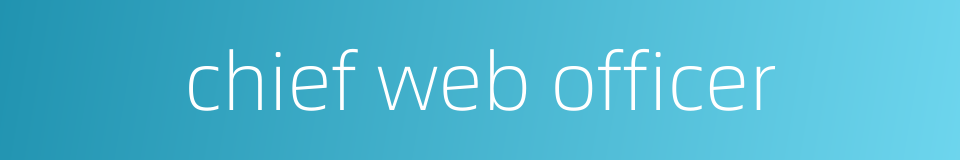 chief web officer的同义词