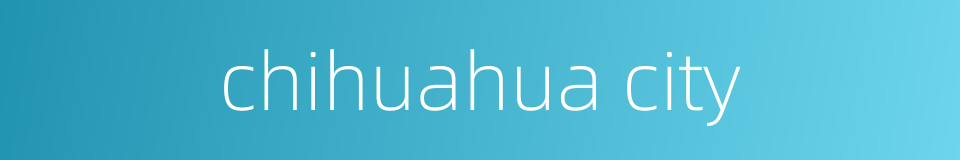 chihuahua city的同义词