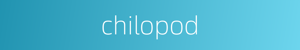 chilopod的同义词