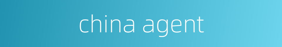 china agent的同义词