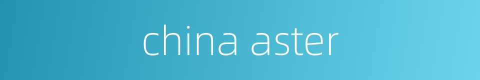 china aster的同义词