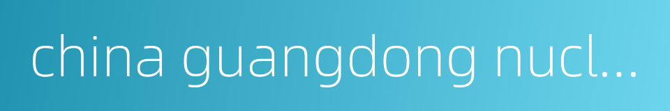 china guangdong nuclear power group的同义词