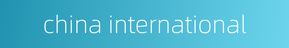 china international的同义词