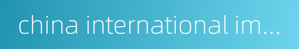 china international import expo的同义词