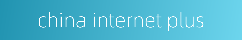 china internet plus的同义词