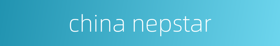 china nepstar的同义词