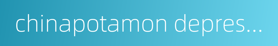 chinapotamon depressum的同义词