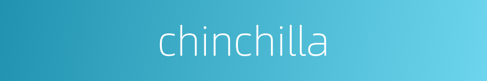 chinchilla的同义词