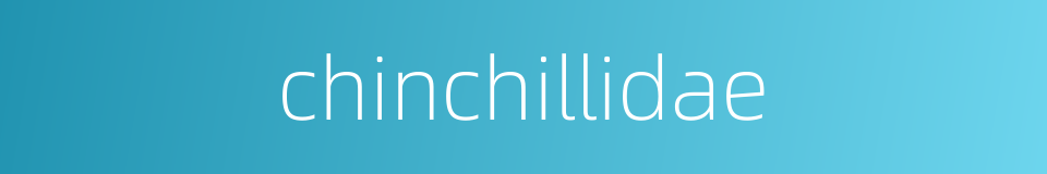 chinchillidae的同义词