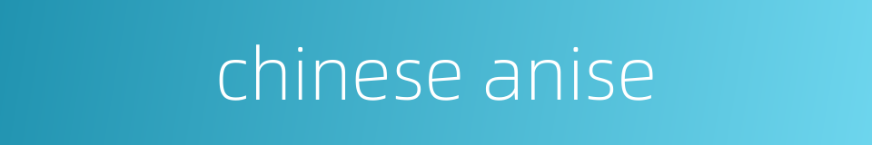 chinese anise的同义词