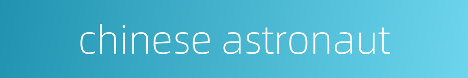 chinese astronaut的同义词
