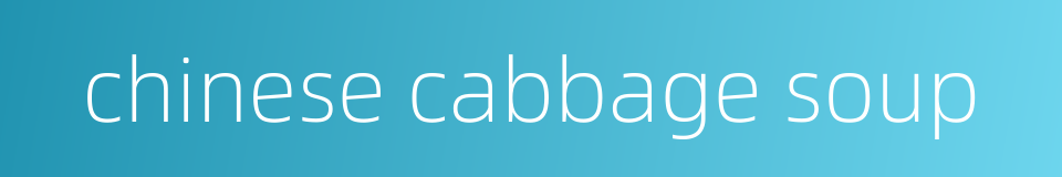 chinese cabbage soup的同义词