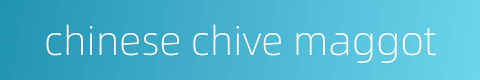 chinese chive maggot的同义词
