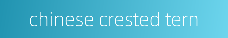 chinese crested tern的同义词