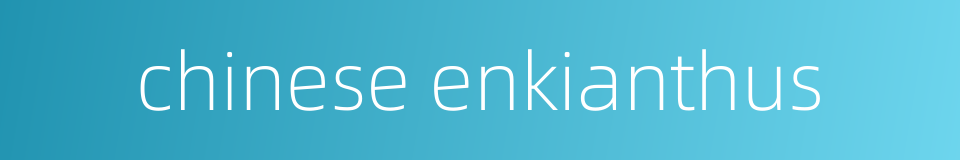 chinese enkianthus的同义词
