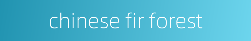 chinese fir forest的同义词