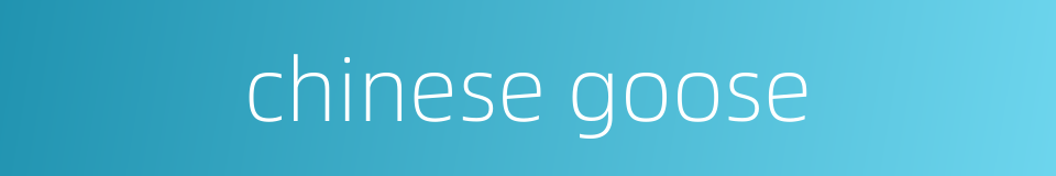 chinese goose的同义词
