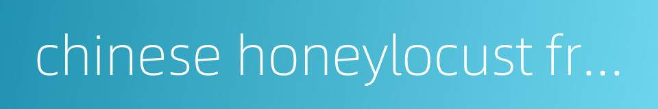 chinese honeylocust fruit的同义词