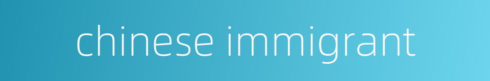 chinese immigrant的同义词