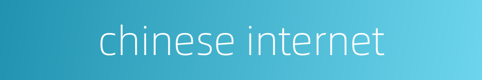 chinese internet的同义词