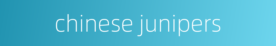 chinese junipers的同义词