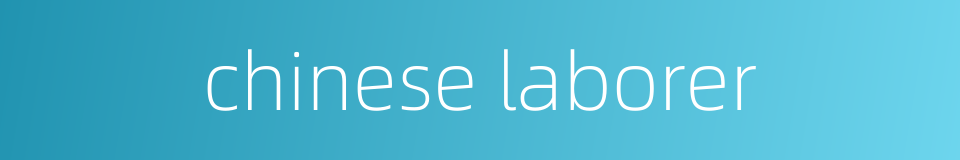 chinese laborer的同义词