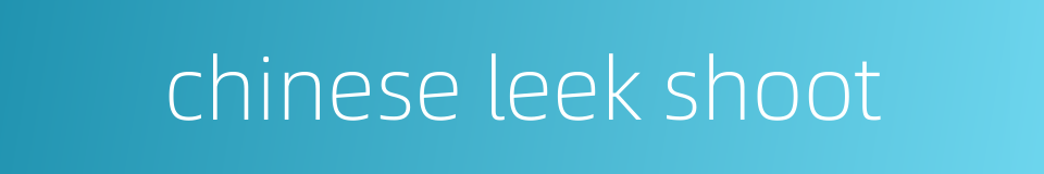chinese leek shoot的同义词