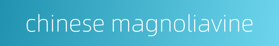 chinese magnoliavine的同义词