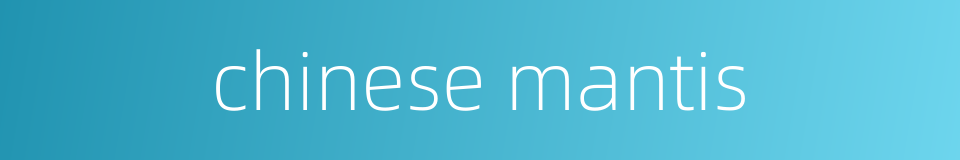 chinese mantis的同义词