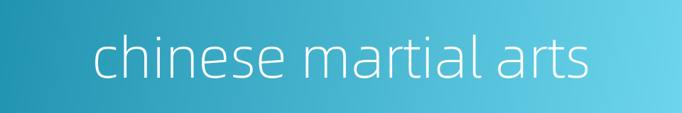 chinese martial arts的同义词