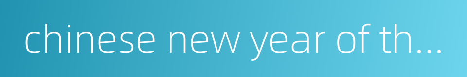 chinese new year of the monkey的同义词