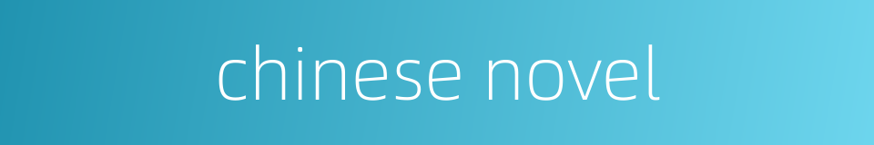 chinese novel的同义词